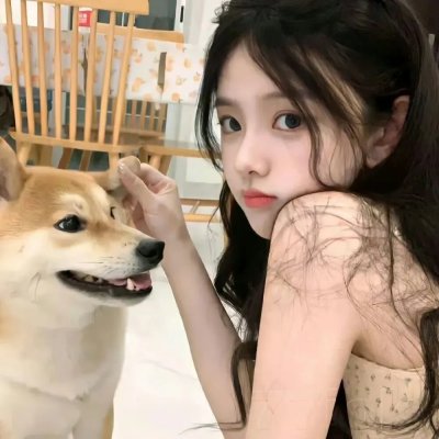 绿箭侠第五季